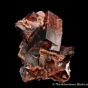 Rhodochrosite - image 6