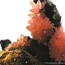 Rhodochrosite - image 2