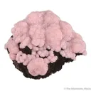 Rhodochrosite - image 1