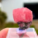 Rhodochrosite - image 7