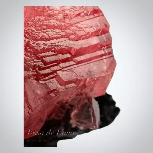 Rhodochrosite - image 3
