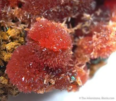 Rhodochrosite - image 2