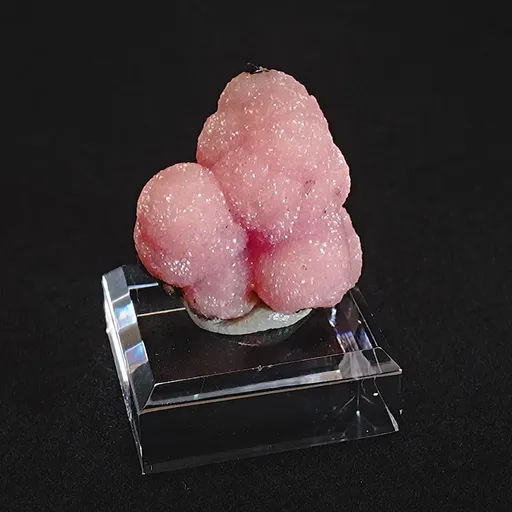specimen video