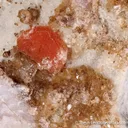 Rhodochrosite - image 1