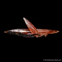 Rhodochrosite - image 3