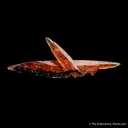 Rhodochrosite - image 4