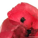 Rhodochrosite - image 2