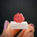 Rhodochrosite - image 2