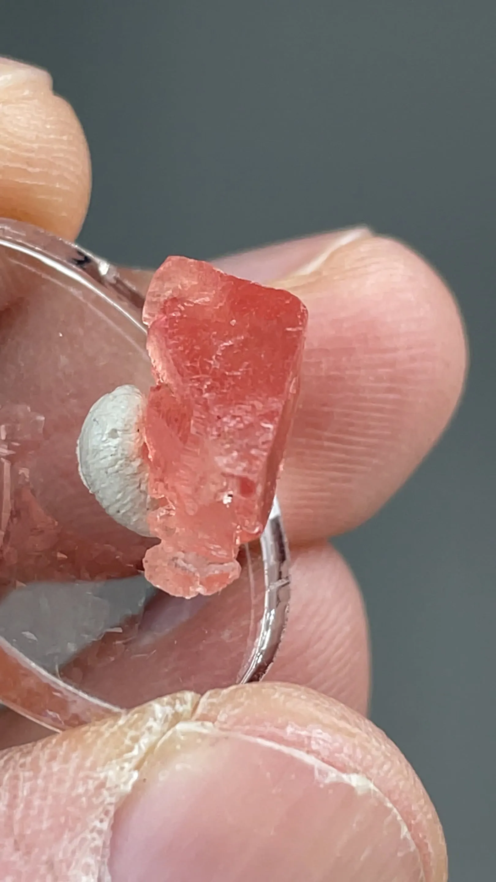 Rhodochrosite - image 2