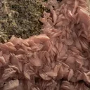 Rhodochrosite - image 2