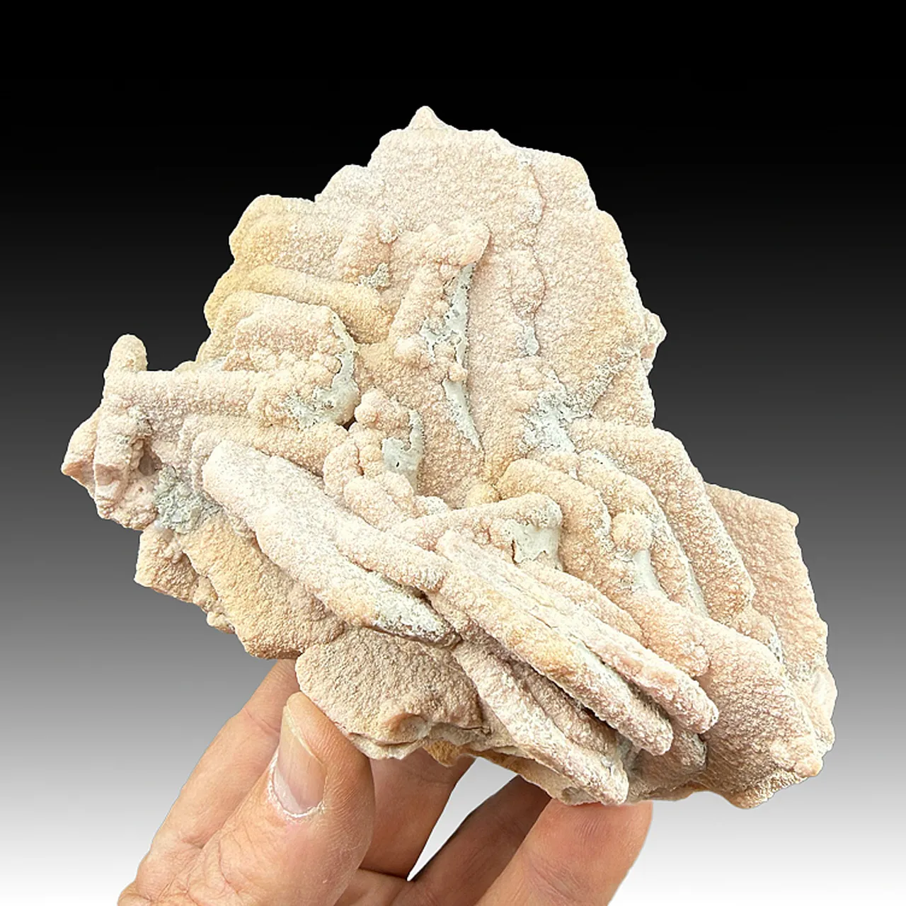 Rhodochrosite after Calcite - image 1