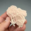 Rhodochrosite after Calcite - image 2