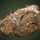 Rhodochrosite after Calcite on Quartz var. Amethyst - image 3