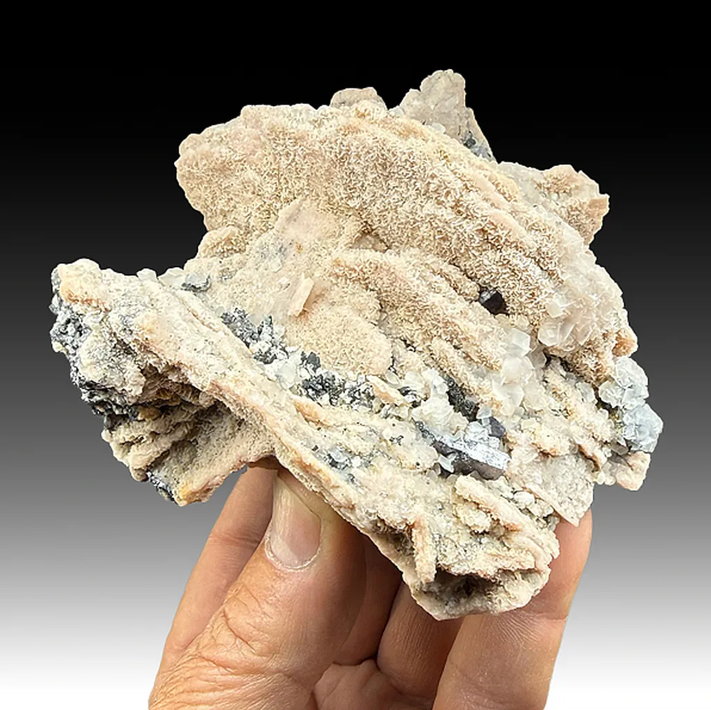 Rhodochrosite after Calcite with Galena, Calcite image