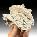 Rhodochrosite after Calcite with Galena, Calcite - image 1