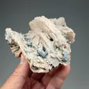 Rhodochrosite after Calcite with Galena, Calcite - image 2