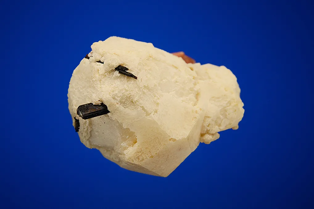 Rhodochrosite and Aegirine on Analcime - image 2