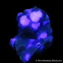 Rhodochrosite and Fluorite on Quartz - image 4