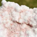 Rhodochrosite and Quartz 1800 grams - Cavnic, Maramureș County, Romania - image 2
