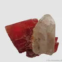 Rhodochrosite and Quartz - image 4