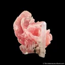 Rhodochrosite and Quartz - image 2