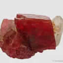 Rhodochrosite and Quartz - image 2