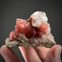 Rhodochrosite and Quartz - image 2