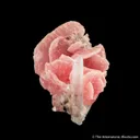 Rhodochrosite and Quartz - image 4