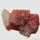 Rhodochrosite and Quartz - image 5