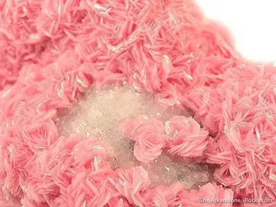 Rhodochrosite and Quartz - image 2