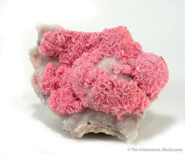 Rhodochrosite and Quartz image