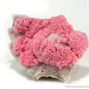 Rhodochrosite and Quartz - image 1