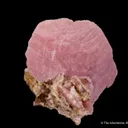 Rhodochrosite and Sphalerite - image 5