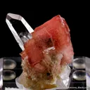 Rhodochrosite - image 5