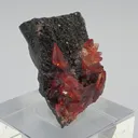 Rhodochrosite - image 2