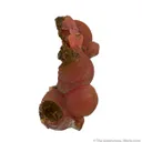 Rhodochrosite - image 2