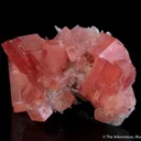 Rhodochrosite - image 7