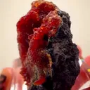 Rhodochrosite - image 4