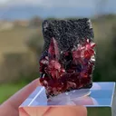 Rhodochrosite - image 5