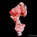 Rhodochrosite - image 3