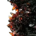 Rhodochrosite - image 3