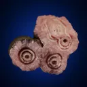 Rhodochrosite - image 4