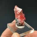 Rhodochrosite - image 2