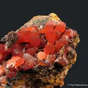Rhodochrosite - image 1