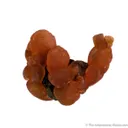 Rhodochrosite - image 2