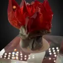 Rhodochrosite - image 4