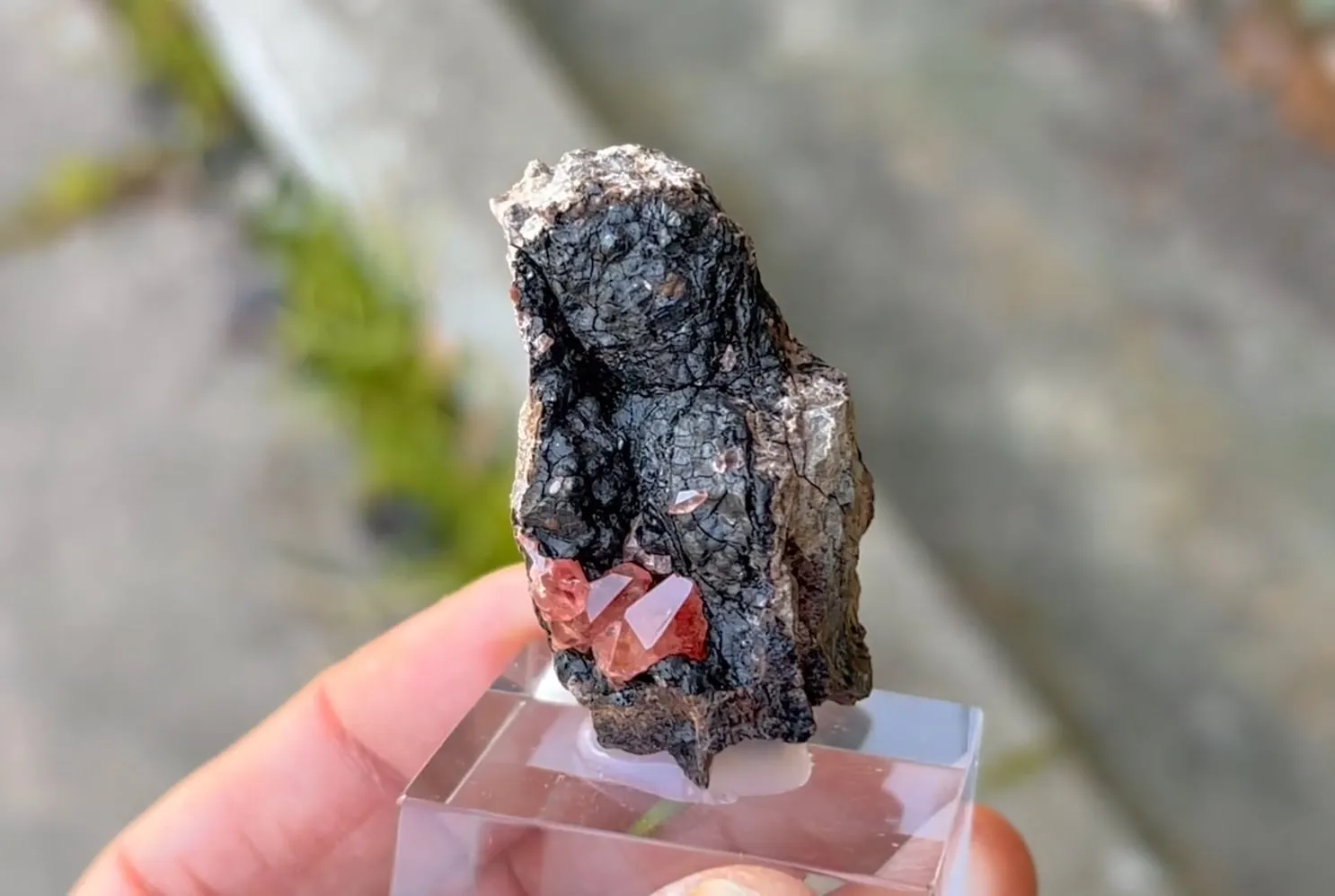 Rhodochrosite - image 3