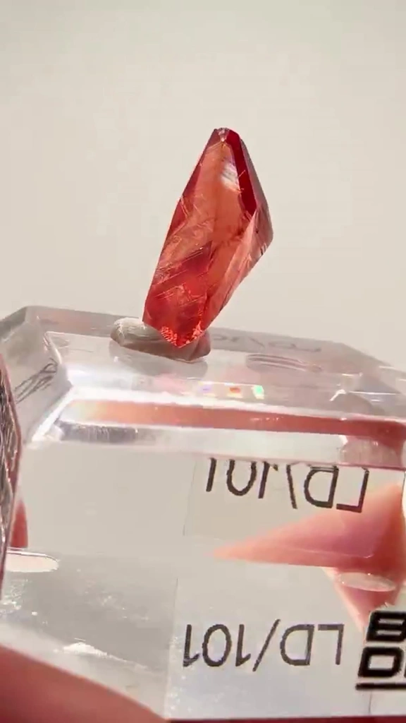 Rhodochrosite FIRE FROM SOUTH AFRICA - image 4