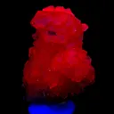 Rhodochrosite (fluorescent) - image 1