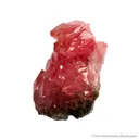 Rhodochrosite (fluorescent) - image 4